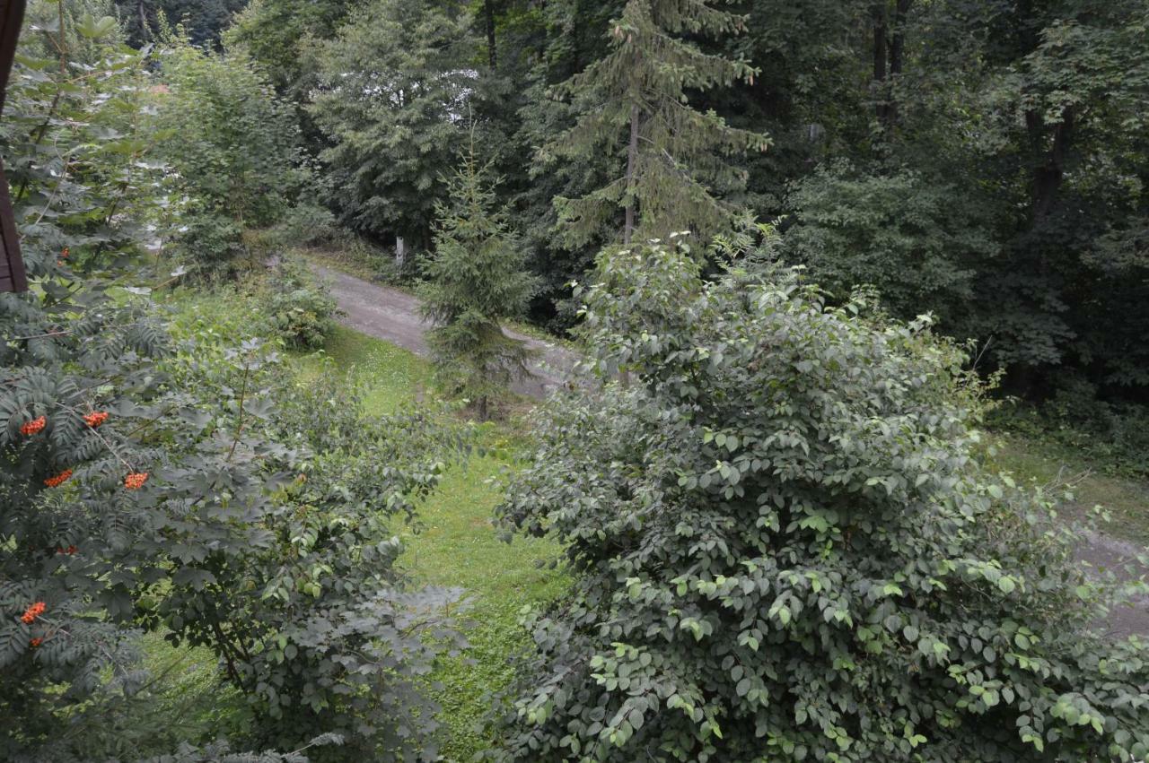 Chata Adrian Slovak Paradise Spišské Tomášovce Extérieur photo